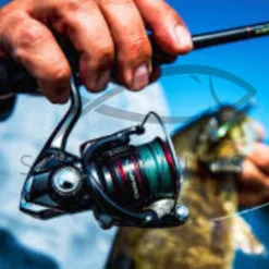 Fishing Reels: Pro Baitcasting Reel in Georgia