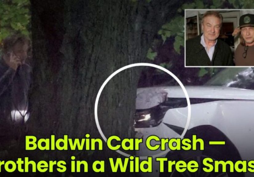 Baldwin Car Crash  Brothers in a Wild Tree Smash