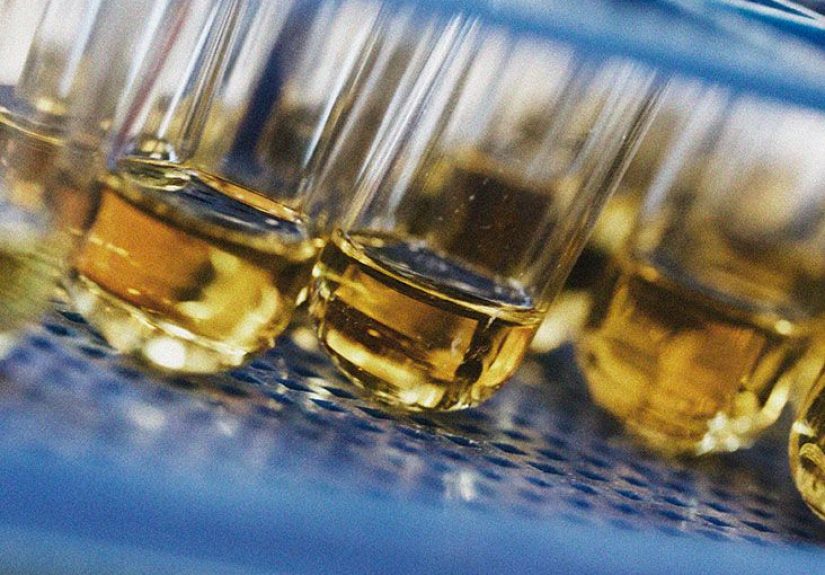 Do shrooms show up on a drug test?