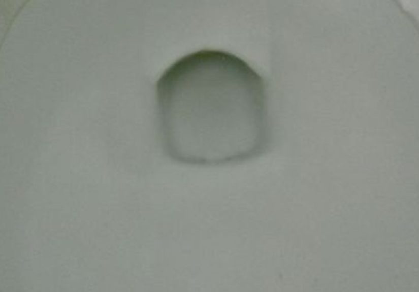Get Rid of the Lime Scale Ring in the Toilet Bowl