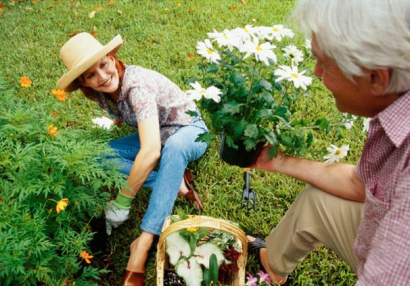 Grass Killer That Won’t Harm Plants