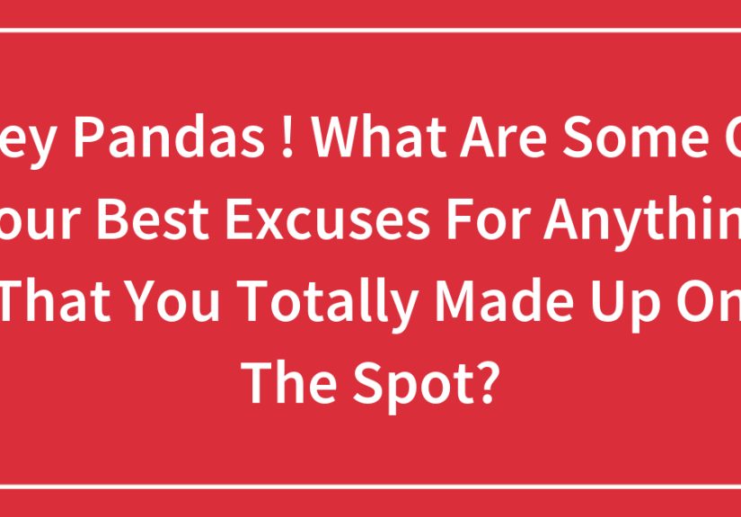 Hey Pandas, What Are Some Of Your Best Excuses For Anything That You Totally Made Up On The Spot?