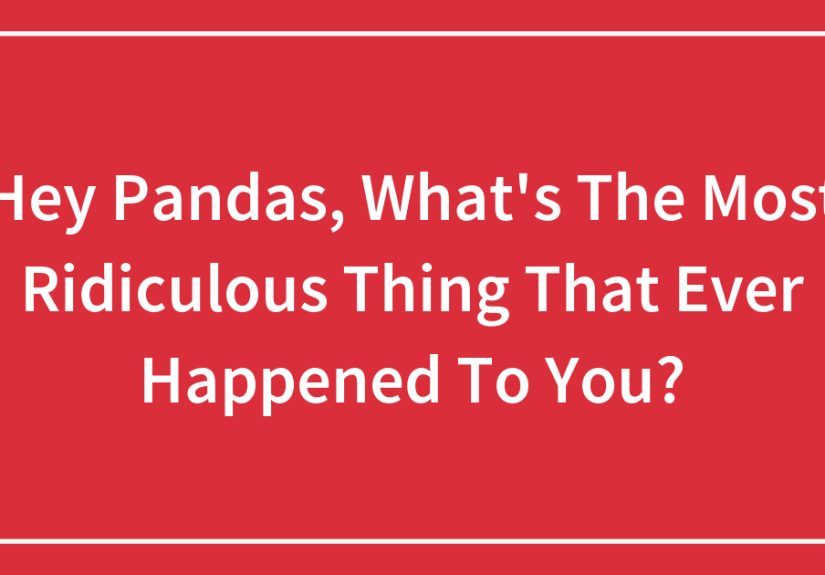Hey Pandas, What’s The Most Ridiculous Thing That Ever Happened To You? (Closed)