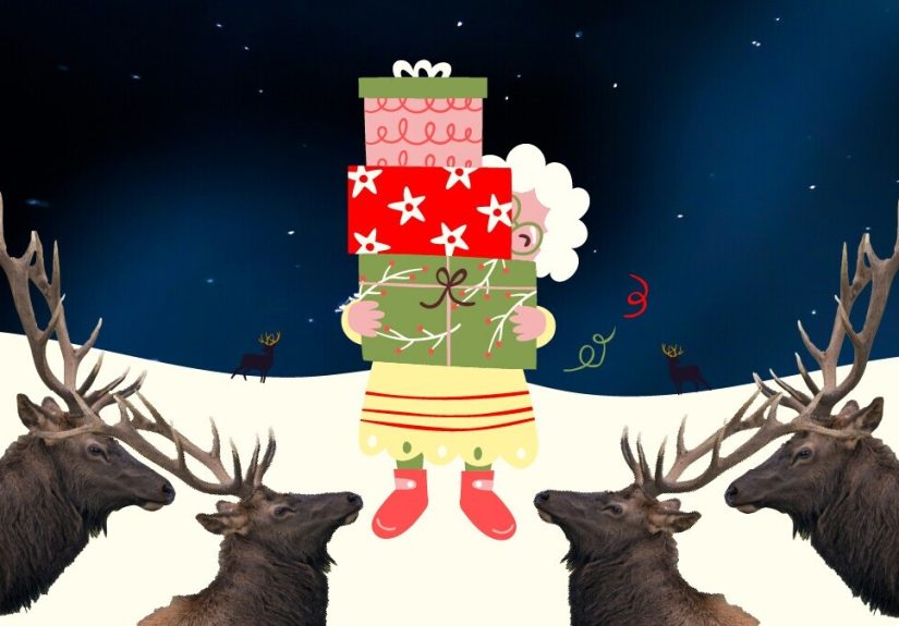 How Many Reindeer Would Have To Run Over Grandma To Off Her?
