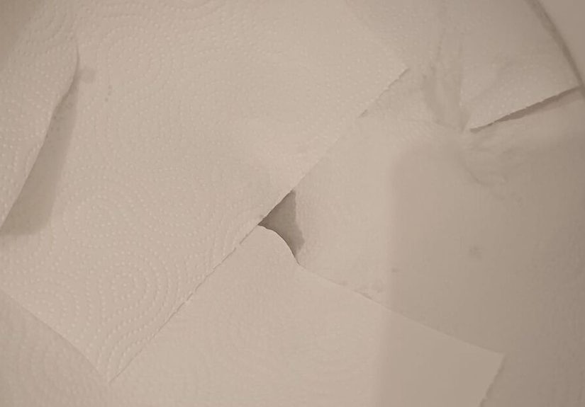 How to Get Rid of Toilet Ring Stains With This Overnight Miracle