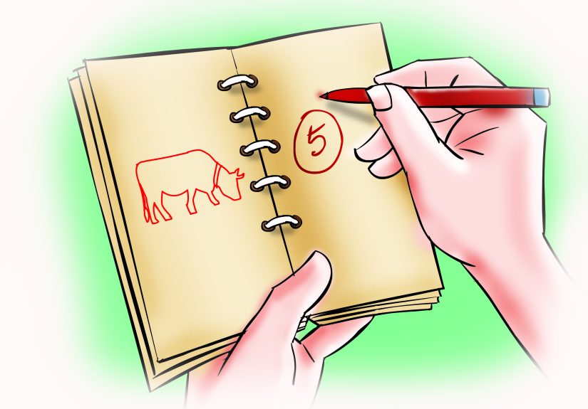 How to Tell when a Cow or Heifer is in Estrus: 15 Steps