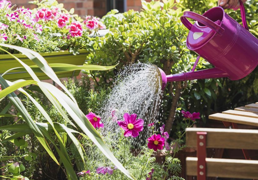 Is Your Garden a Mess After Your Vacation? How to Save It Fast