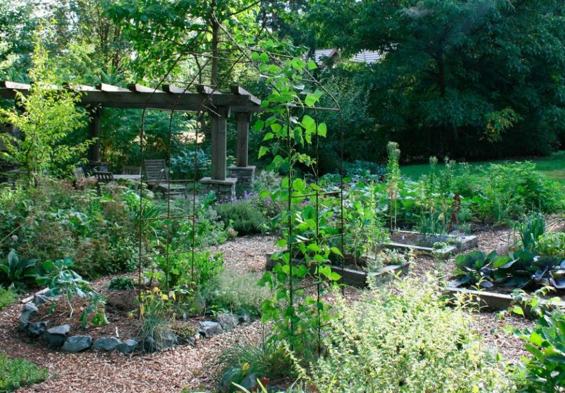 Plant a Garden That Takes Care of Itself