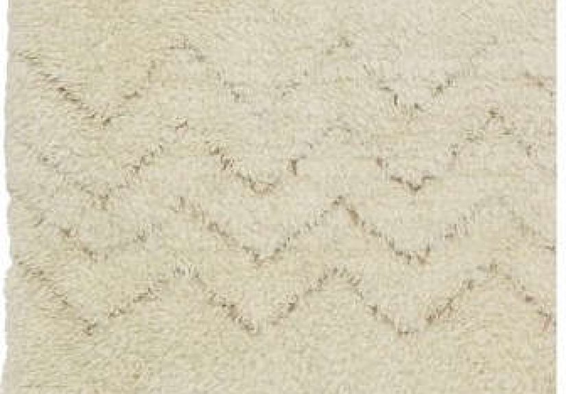 Shopper's Diary: Exotic Rugs on Sale at Williams-Sonoma Home