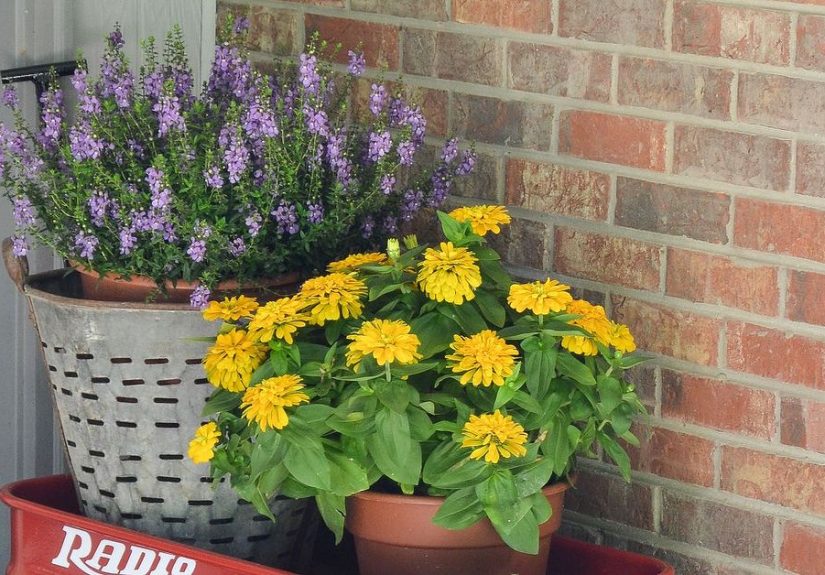 Tips for Summer Porch Decor