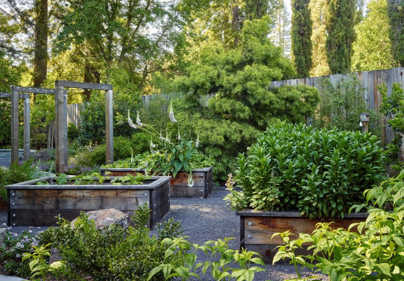 10 Raised Garden Bed Mistakes You Might Be Making