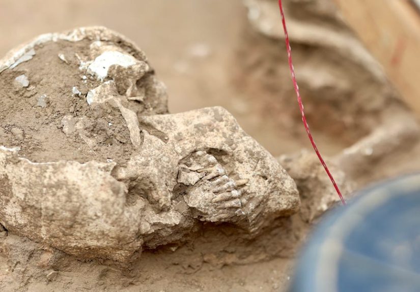 14 Years Ago, Experts Found a Mass Grave. Now We Know Who’s Inside.