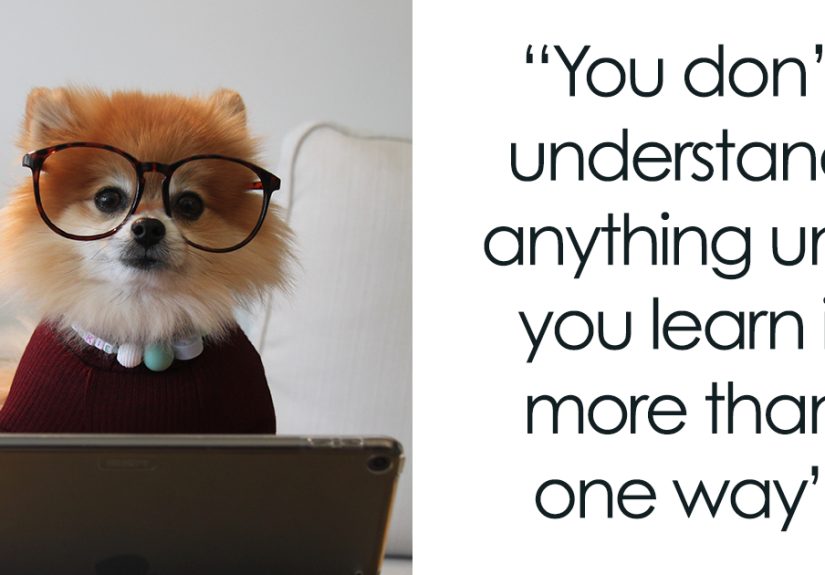 188 Education Quotes That Might Inspire You To Learn Something New