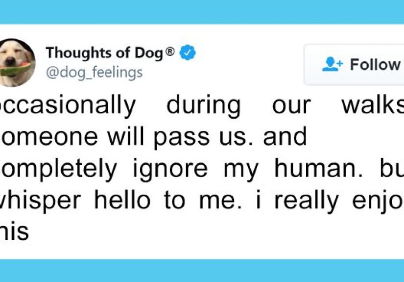 30 Of The Funniest Dog Thoughts That Dog Owners Understand Too Well