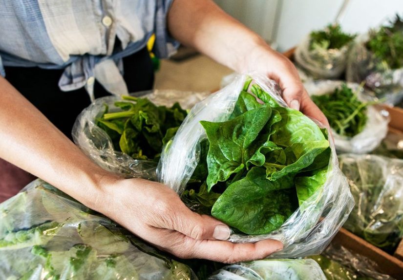 5 Interesting Types of Lettuce