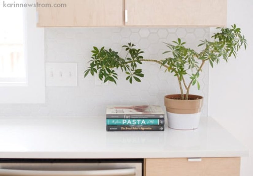 A Modern Kitchen With Blonde Wood Cabinets