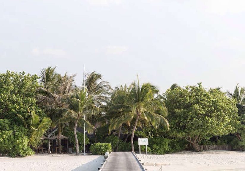 A Virtual Trip to the Maldives with Cereal Magazine