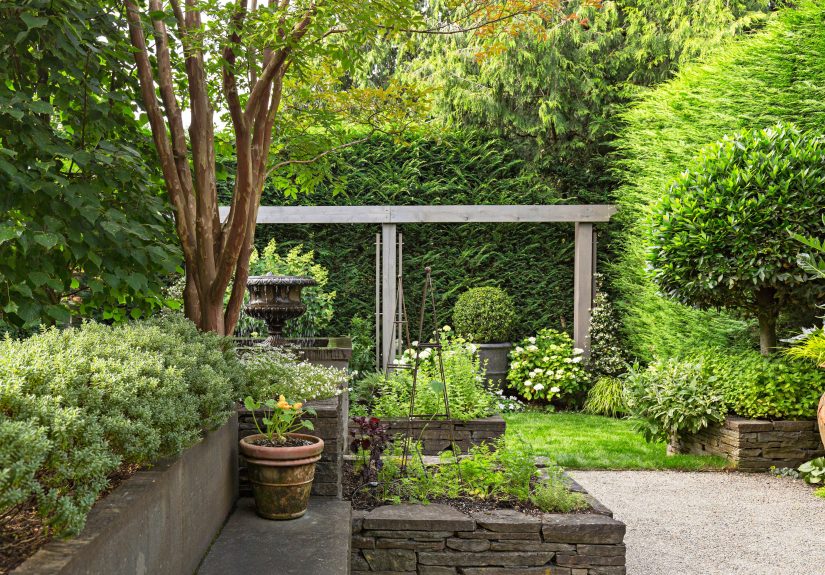 Designers Reveal How to Make Your Urban Backyard Feel Like a Retreat