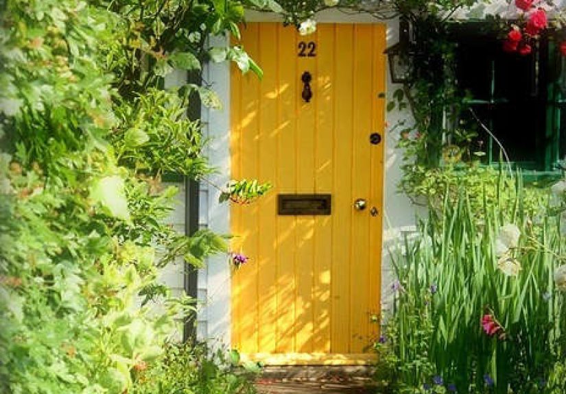Dutch Door Paint Kit: The DIY Upgrade Your Entryway Didn’t Know It Needed