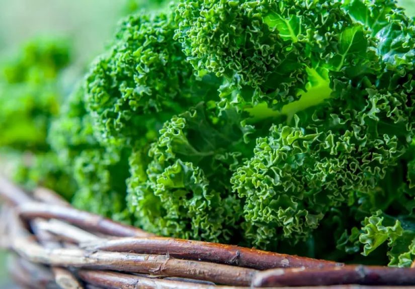 Having Lung Problems? Eat Your Veggies, Science Says