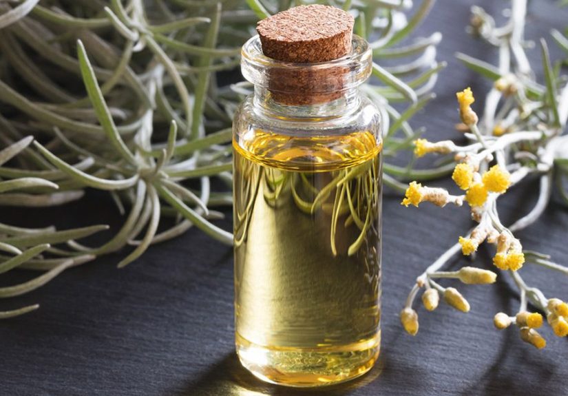 Helichrysum Essential Oil: Benefits, Uses, and Precautions