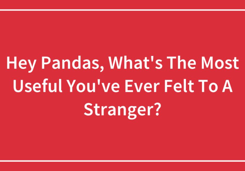 Hey Pandas, What’s The Most Useful You’ve Ever Felt To A Stranger?