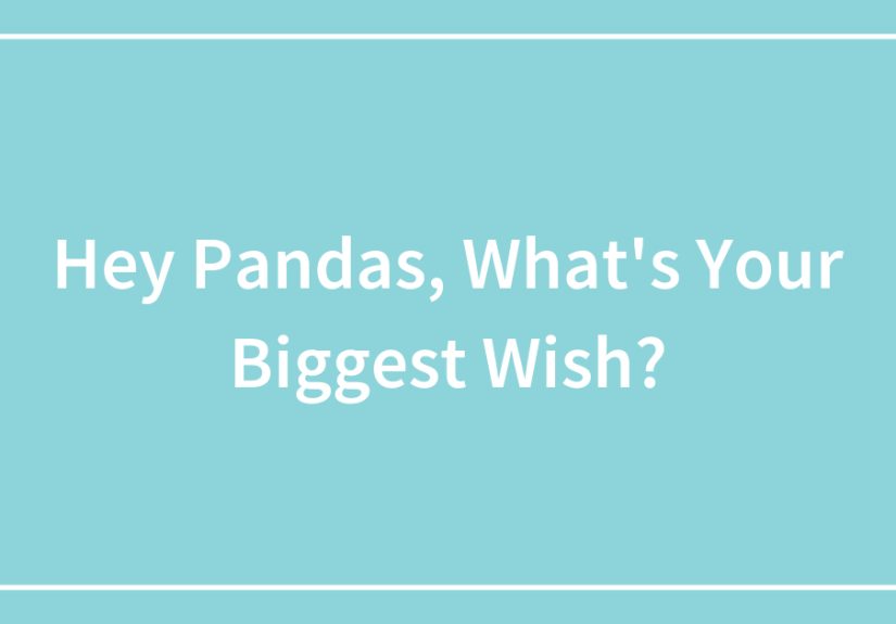 Hey Pandas, What’s Your Biggest Wish?