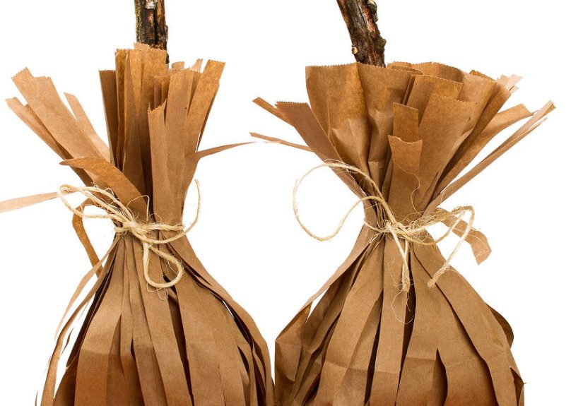 How to Make Witch Broomstick Goody Bags Inspired by Hocus Pocus