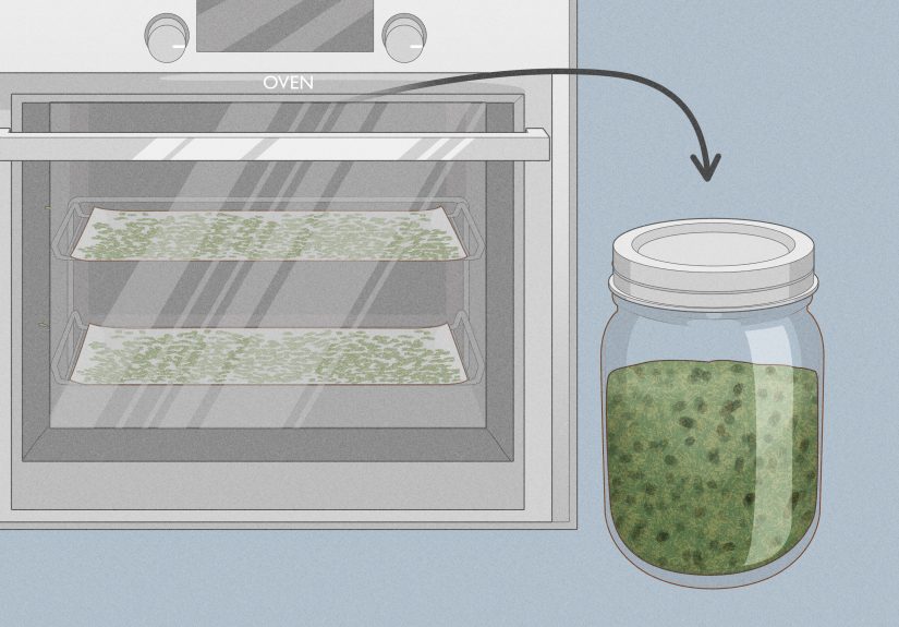 How to Prune Thyme: 9 Steps