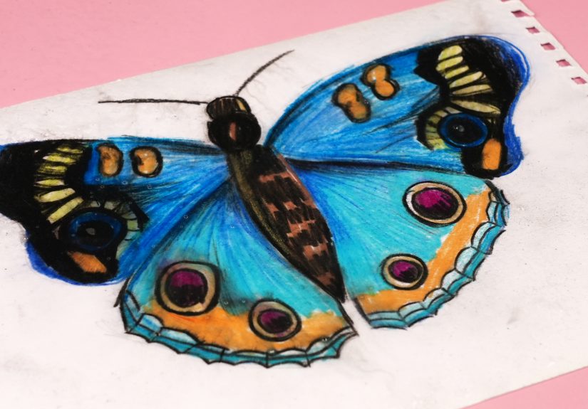 How to Use Watercolor Pencils: 14 Steps