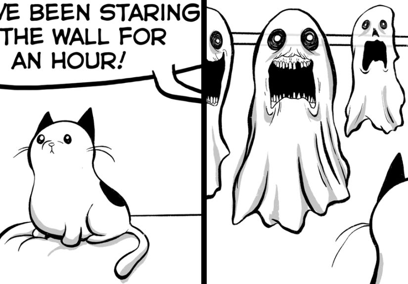 My Wife Insisted That I Put These Comics On The Internet – They’re About A Cat We Rescued (45 New Pics)