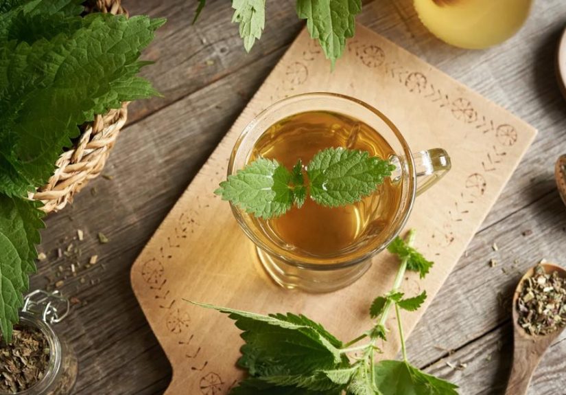 Nettle Tea Benefits