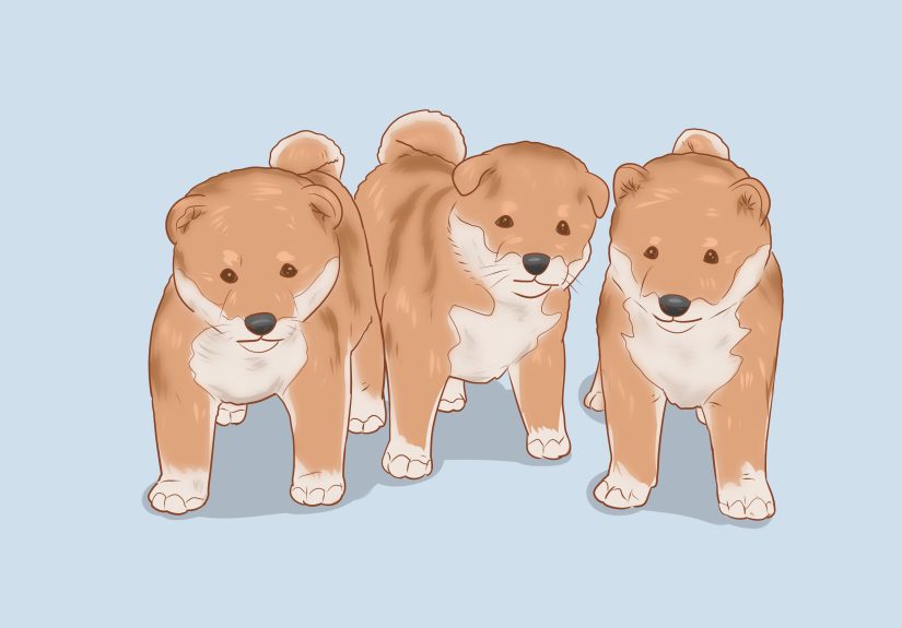 Predict Your Puppy's Adult Size: Puppy Weight Calculator