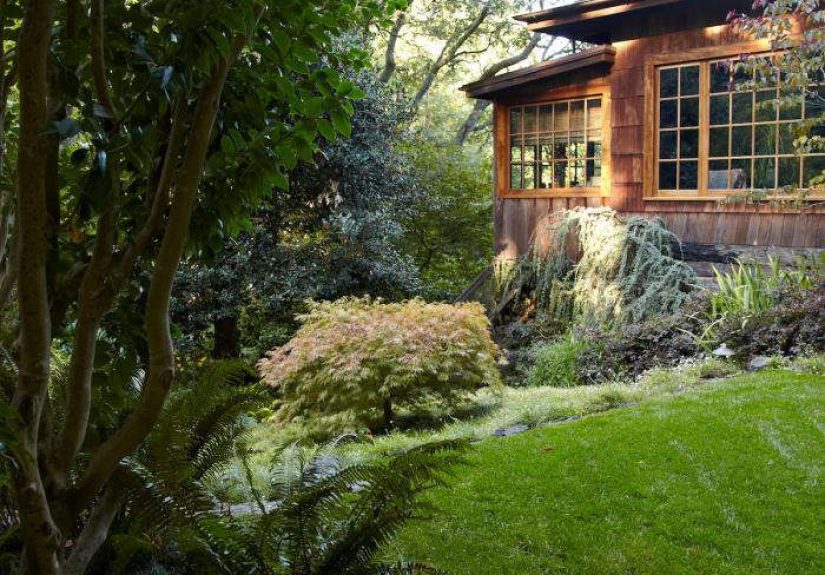 Rescuing a 100-Year-Old Garden