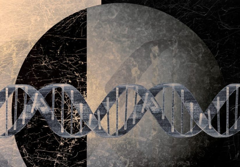 Scientists Found a Ghost Code Hidden in the Human Genome