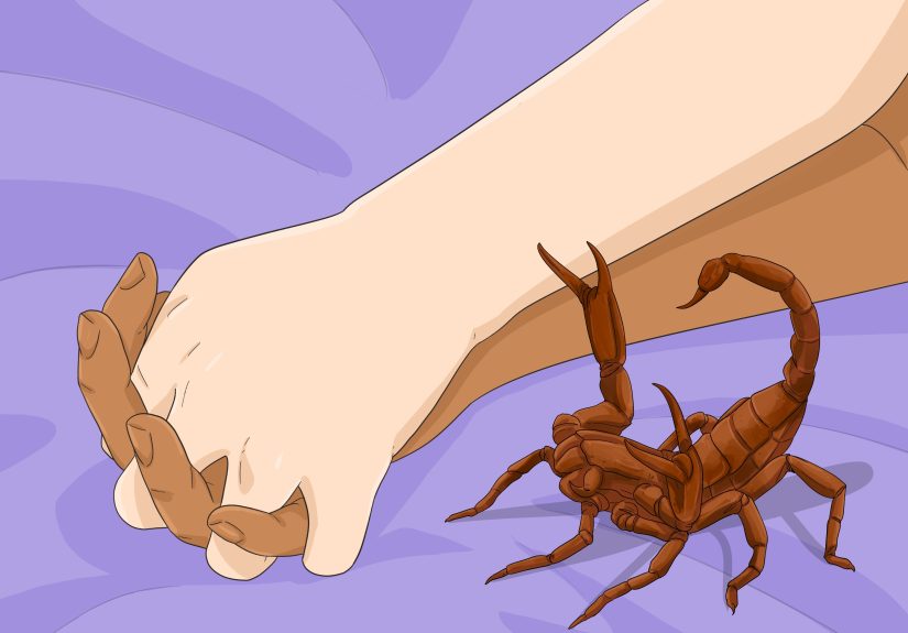 Scorpion in Your Dream? 11 Interpretations