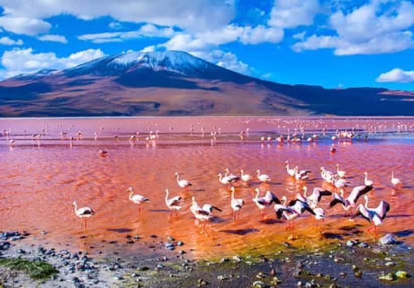 Top 10 Crazy Things Nature Does On A Massive Scale