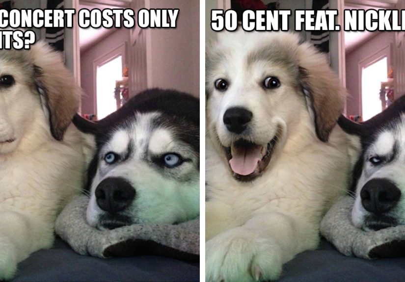 What Joke Did This Comedy Genius Puppy Tell?