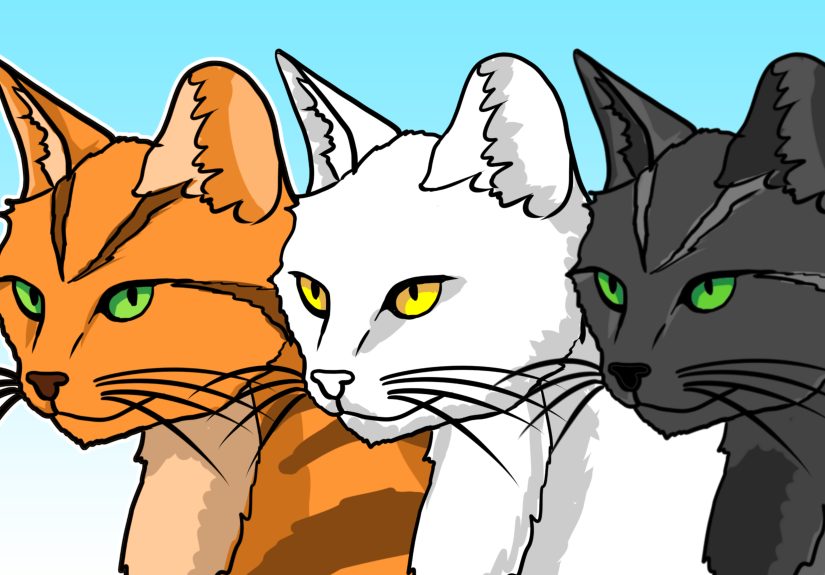 Would I Survive A Warrior Cat Patrol?
