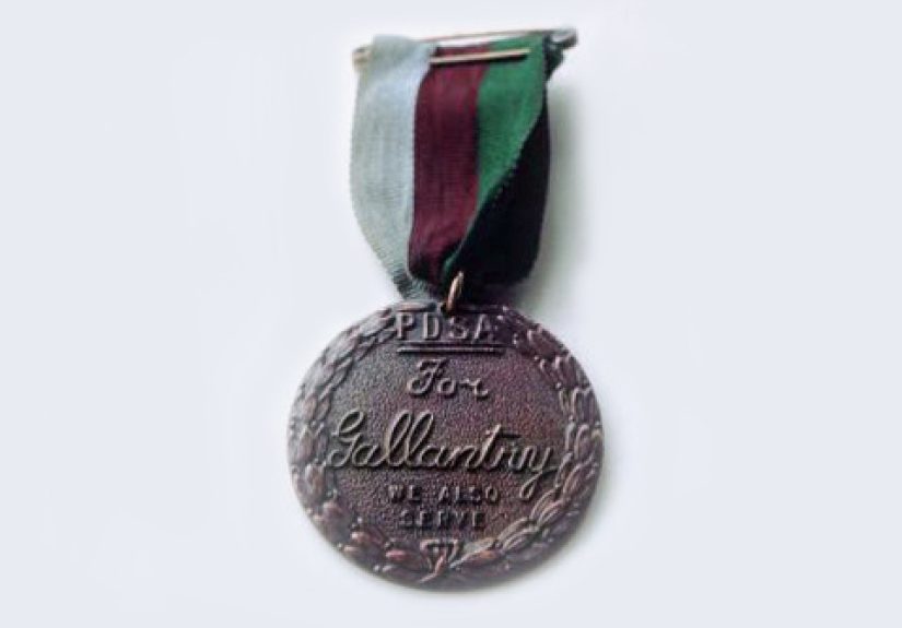 10 Amazing Animals Awarded A Medal For Bravery