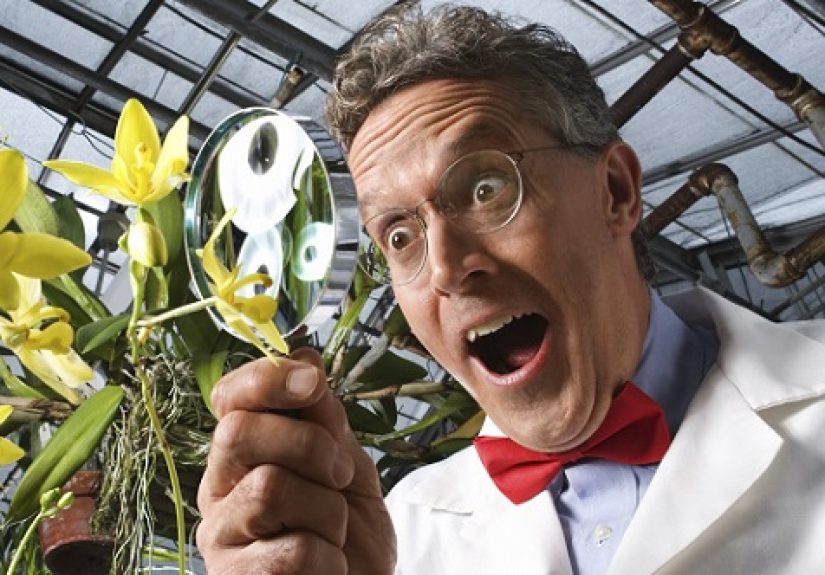 10 Scientific Studies That Answered Bizarrely Specific Questions