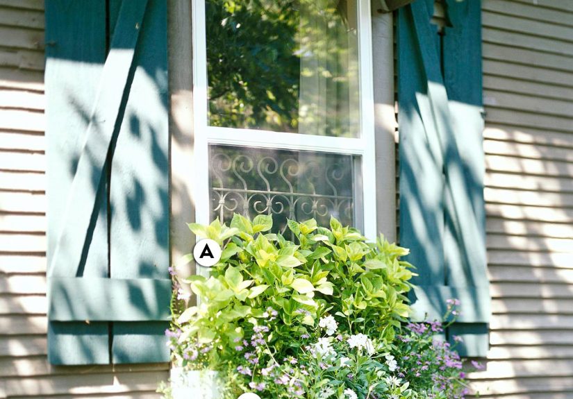16 Pretty and Simple Combinations of Window Box Flowers for Shade