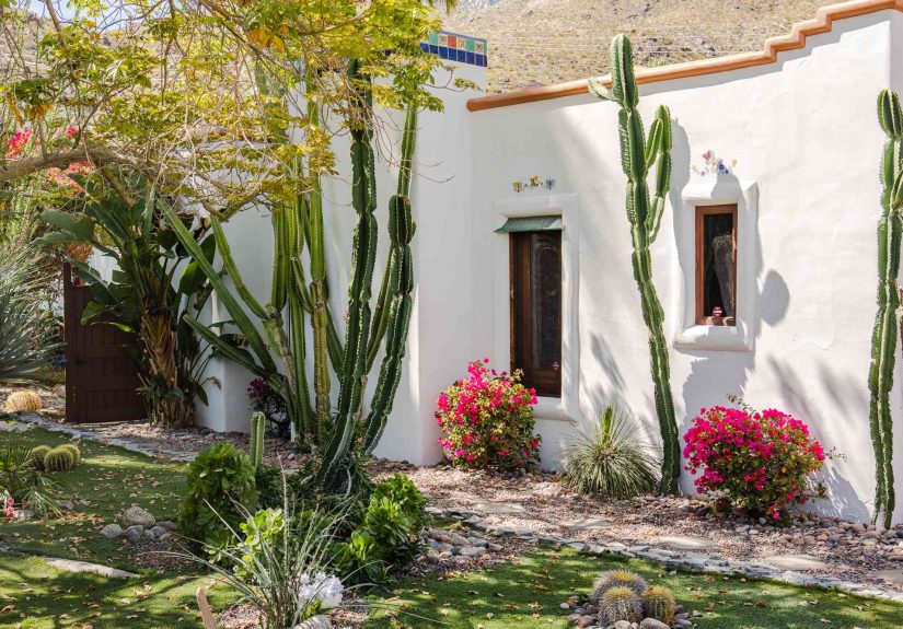 24 Stunning Desert Landscaping Ideas Perfect for the Heat