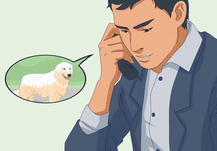 3 Ways to Stay Safe when a Dog Approaches You