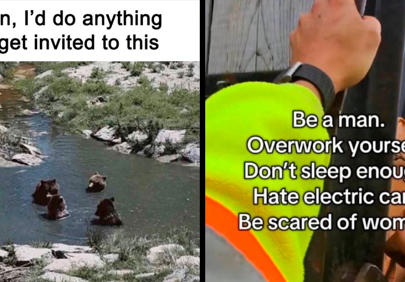 50 Funny Yet Unhinged Memes That We Can’t Explain