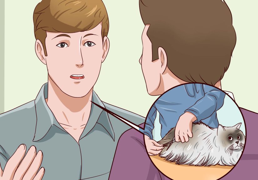 6 Ways to Clean Your Cat When He Can't Do It Himself