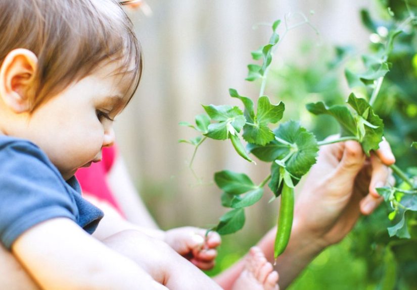 9-Month-Old Baby: Developmental Milestones and Guidelines