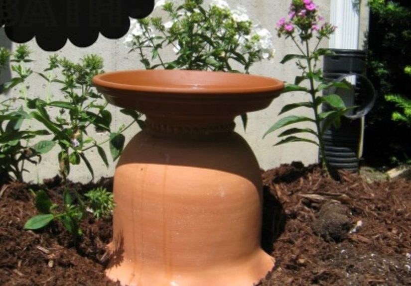 DIY Bird Bath From a Clay Garden Pot