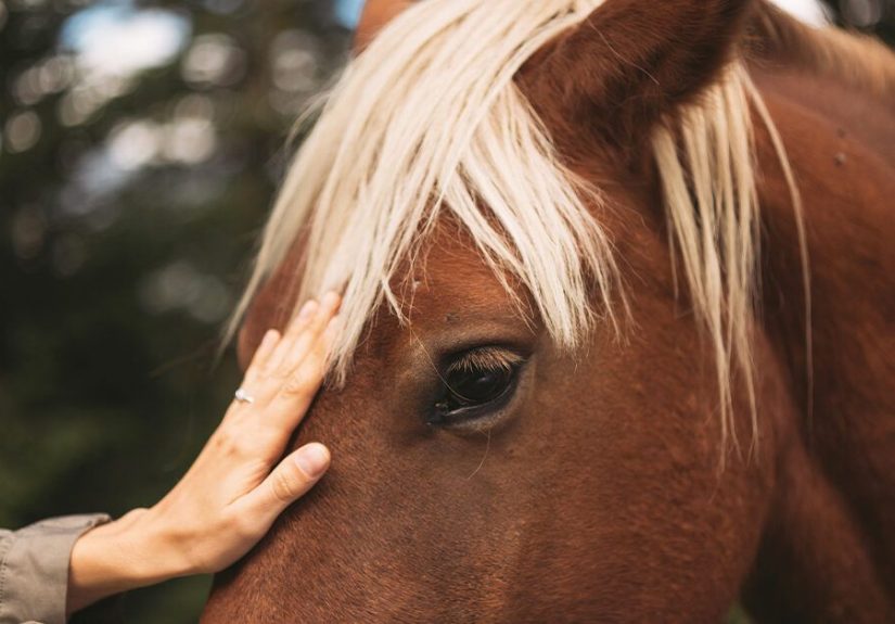 Feel-Good Fitness: Horseback Riding