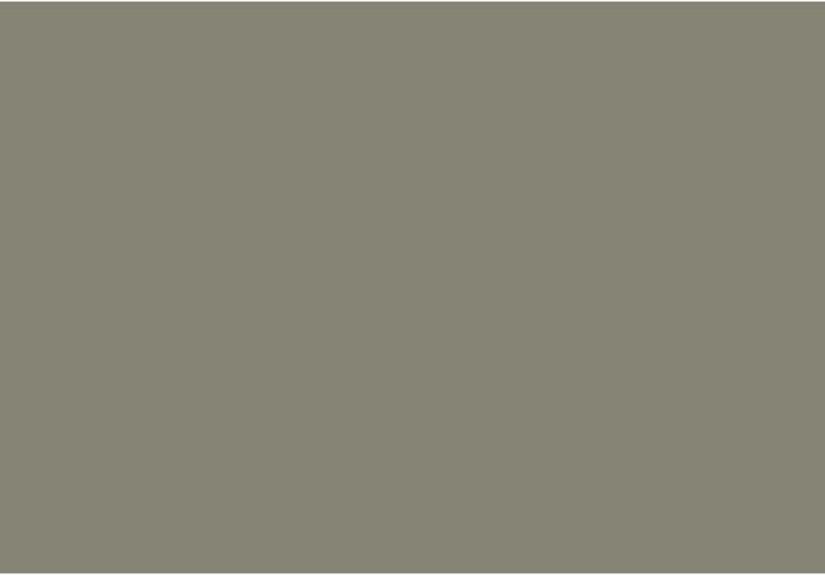 Gunsmith Gray CW-65 Paint